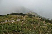 30 In decisa salita in compagnia della nebbia